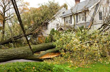 Storm damage restoration in Lansing by Complete Carpet Care & Restoration