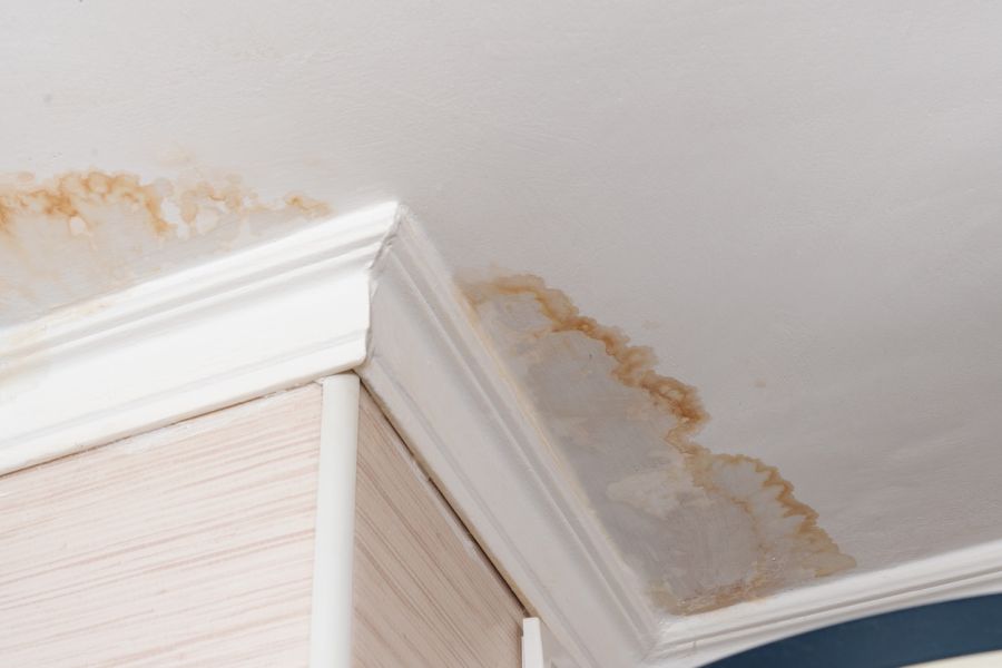 Water Damage Claim Adjusting by Complete Carpet Care & Restoration